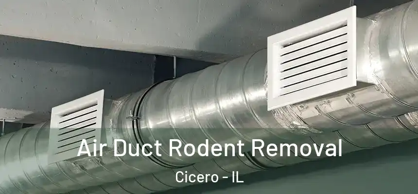  Air Duct Rodent Removal Cicero - IL