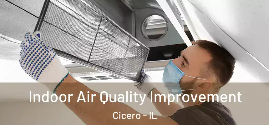  Indoor Air Quality Improvement Cicero - IL