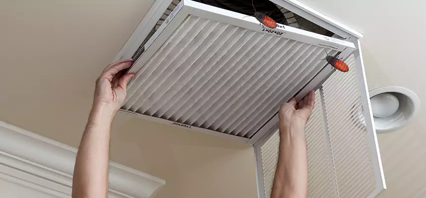 Preventive Cockroach-Proofing for Ducts in Cicero