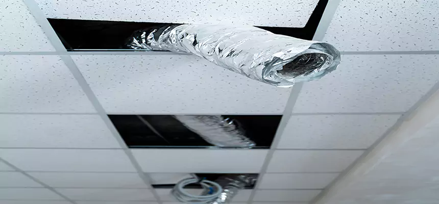 Our Air Duct Pet Hair Removal Services in Cicero, IL