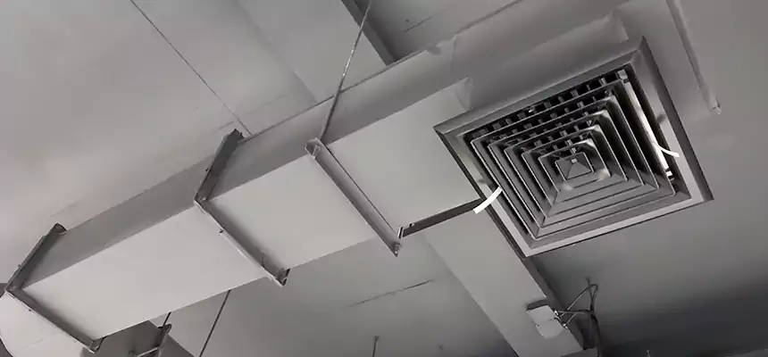 Our Pest Removal From Ducts Services in Cicero, IL