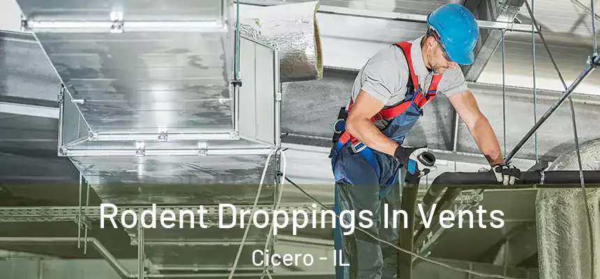 Rodent Droppings In Vents Cicero - IL