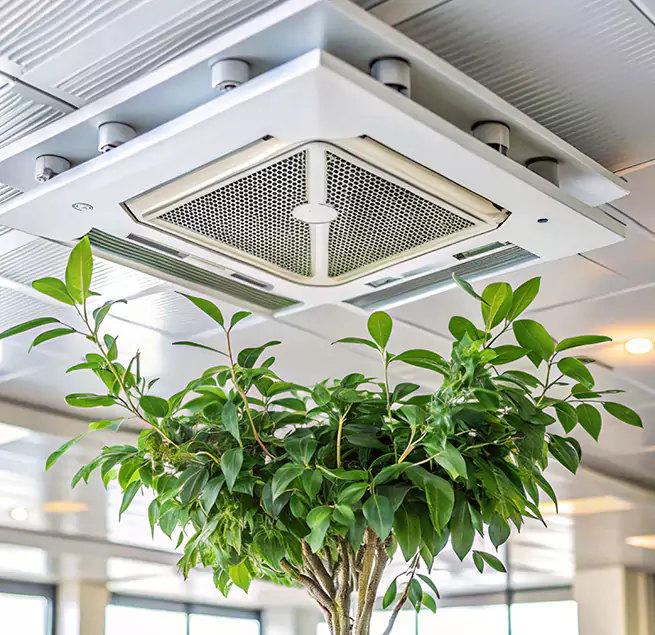 Why Homeowners & Businesses Trust Us in Cicero, IL?