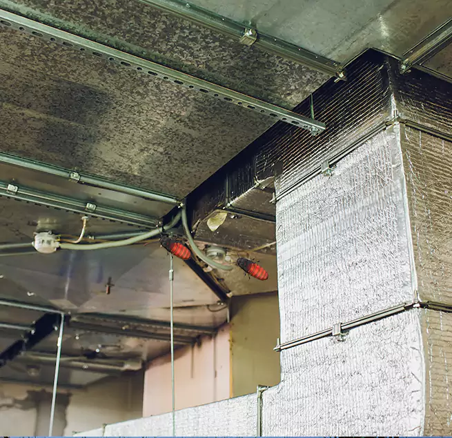 Why Homeowners & Businesses Trust Us Cicero, IL?