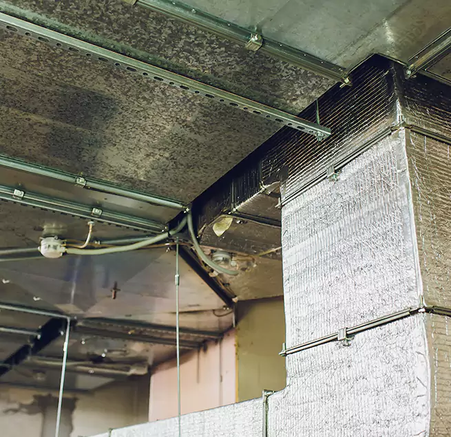 Why Homeowners & Businesses Trust Us in Cicero, IL?